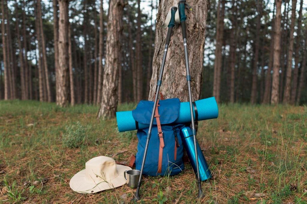 what to bring on a hike - trekking poles